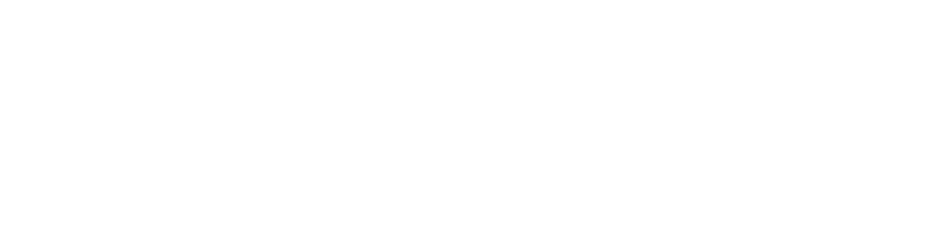 INTERALLIANCE GV